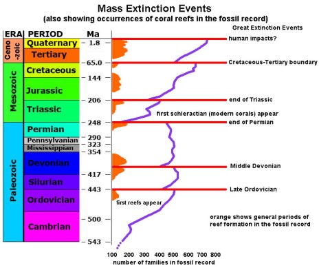 extinctionTimeline