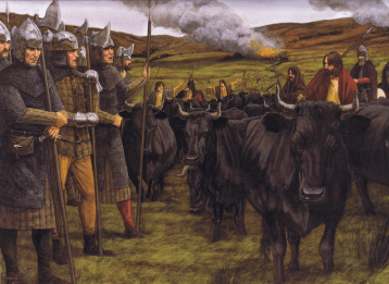 cattle raid